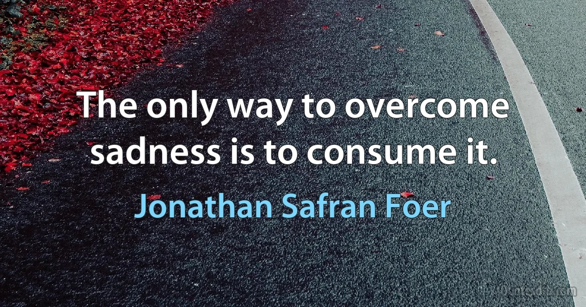 The only way to overcome sadness is to consume it. (Jonathan Safran Foer)