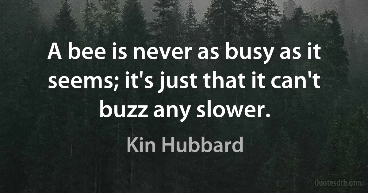 A bee is never as busy as it seems; it's just that it can't buzz any slower. (Kin Hubbard)