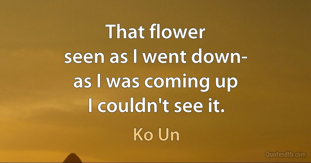 That flower
seen as I went down-
as I was coming up
I couldn't see it. (Ko Un)