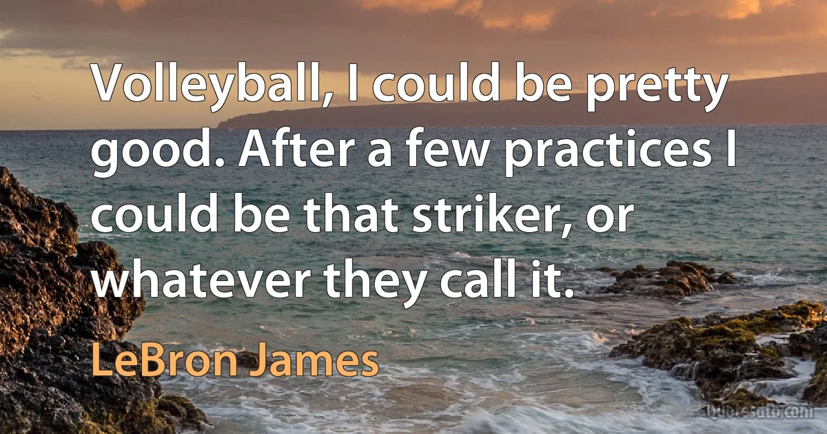 Volleyball, I could be pretty good. After a few practices I could be that striker, or whatever they call it. (LeBron James)