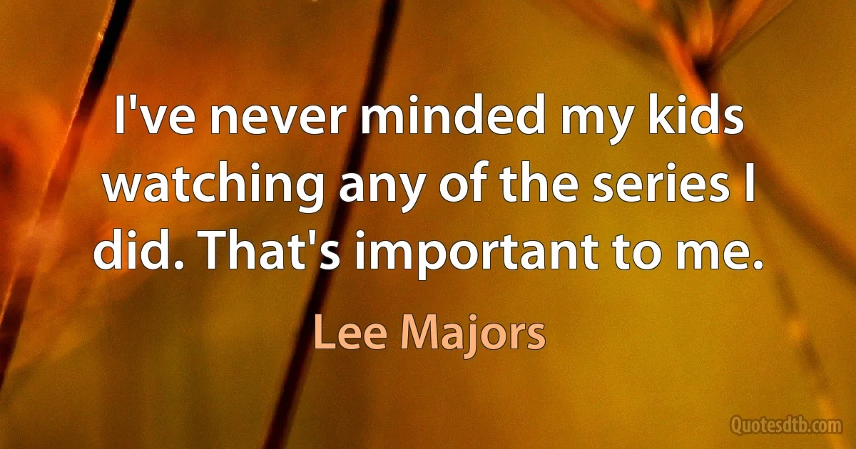 I've never minded my kids watching any of the series I did. That's important to me. (Lee Majors)