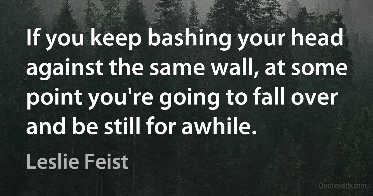 If you keep bashing your head against the same wall, at some point you're going to fall over and be still for awhile. (Leslie Feist)