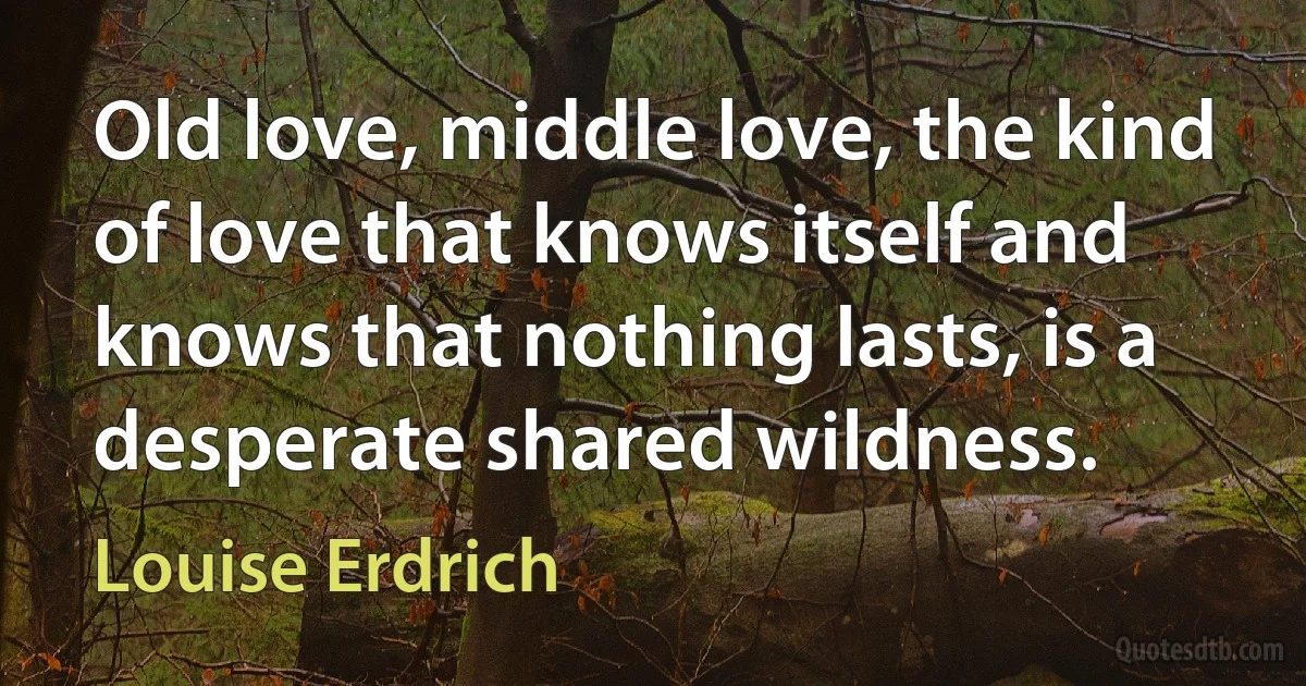 Old love, middle love, the kind of love that knows itself and knows that nothing lasts, is a desperate shared wildness. (Louise Erdrich)