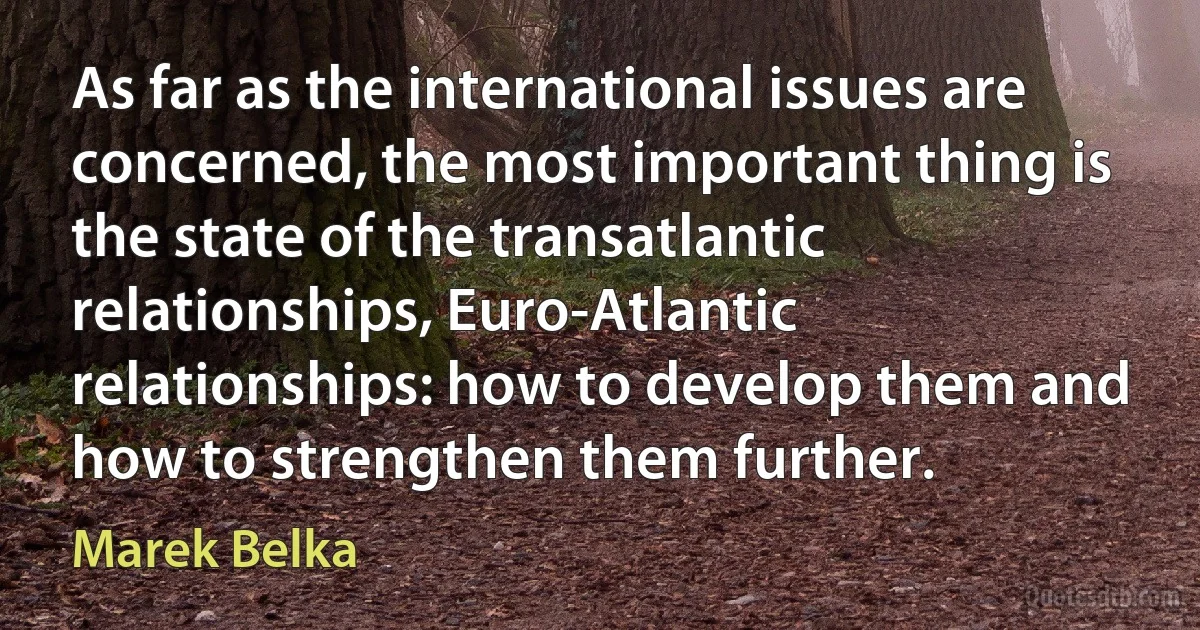 As far as the international issues are concerned, the most important thing is the state of the transatlantic relationships, Euro-Atlantic relationships: how to develop them and how to strengthen them further. (Marek Belka)