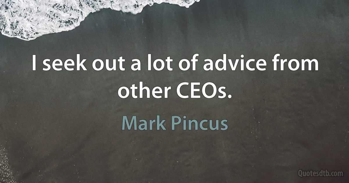 I seek out a lot of advice from other CEOs. (Mark Pincus)