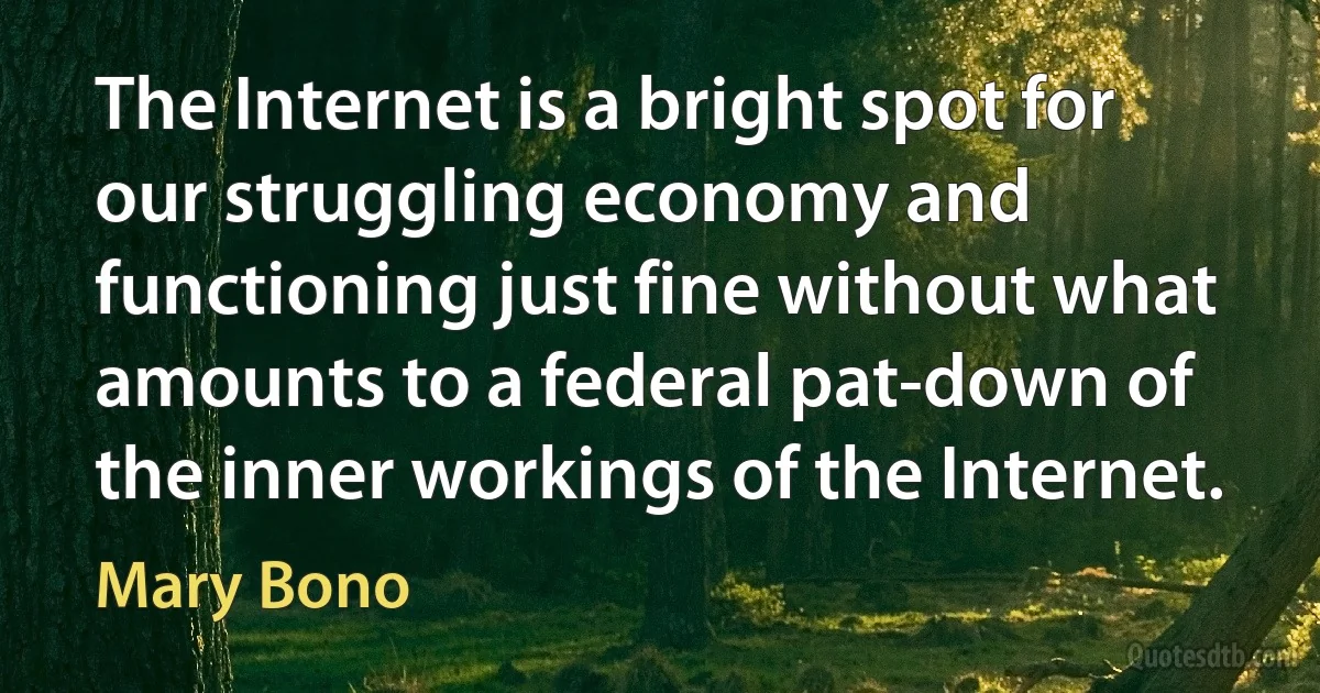 The Internet is a bright spot for our struggling economy and functioning just fine without what amounts to a federal pat-down of the inner workings of the Internet. (Mary Bono)