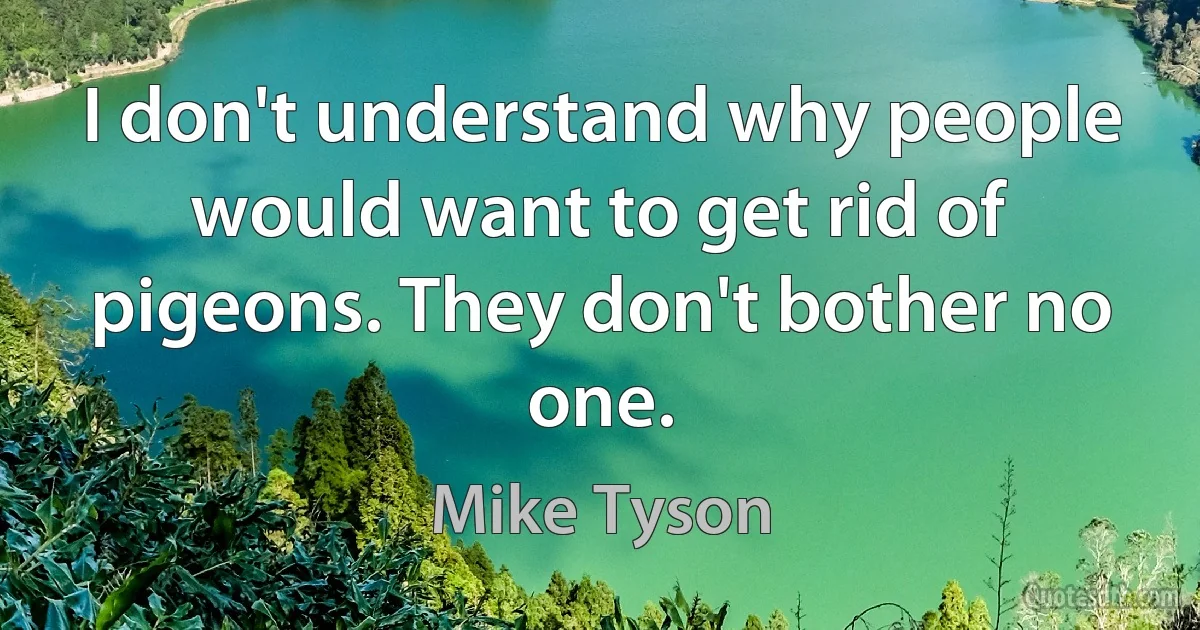 I don't understand why people would want to get rid of pigeons. They don't bother no one. (Mike Tyson)