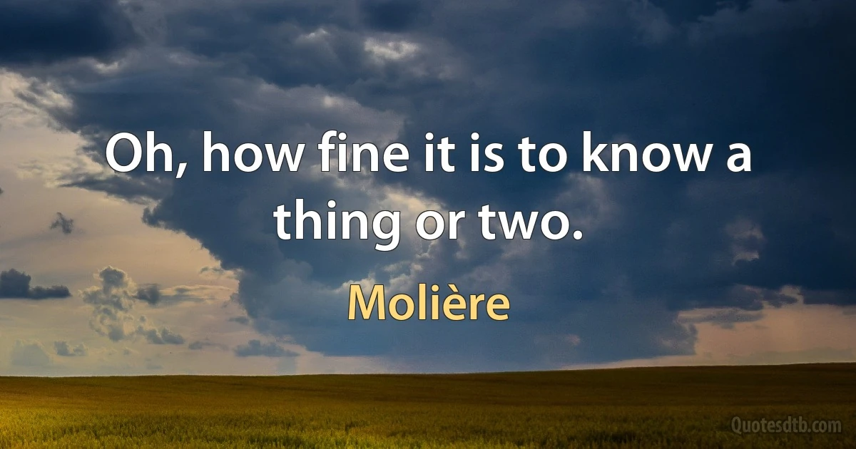 Oh, how fine it is to know a thing or two. (Molière)