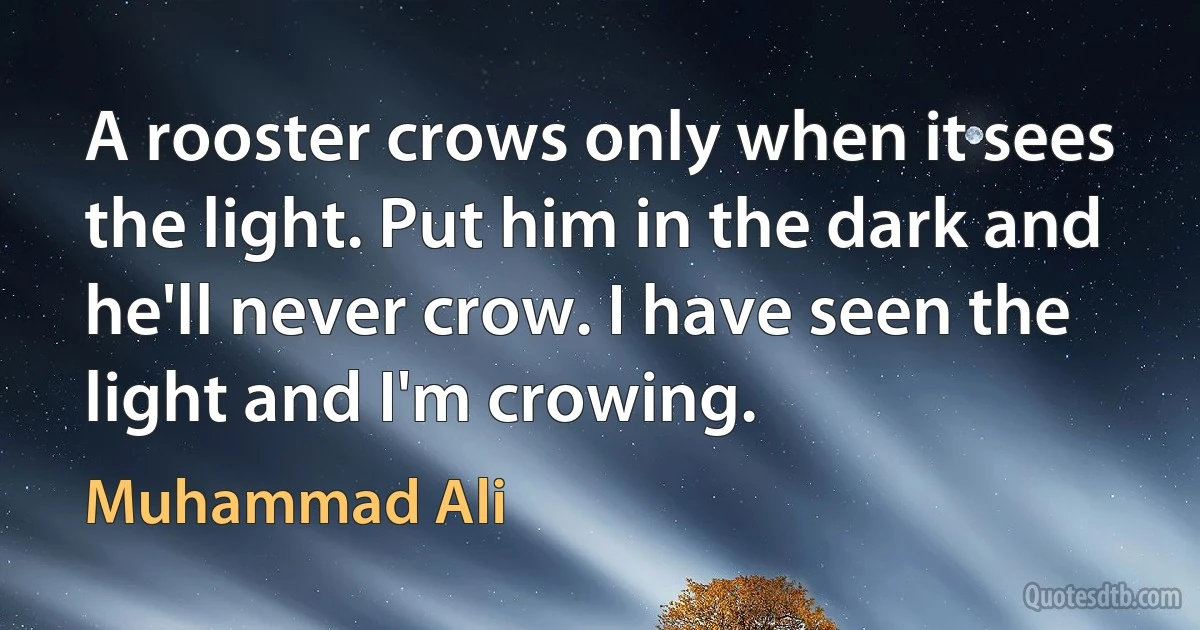 A rooster crows only when it sees the light. Put him in the dark and he'll never crow. I have seen the light and I'm crowing. (Muhammad Ali)