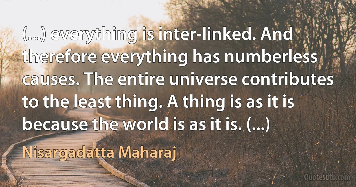 (...) everything is inter-linked. And therefore everything has numberless causes. The entire universe contributes to the least thing. A thing is as it is because the world is as it is. (...) (Nisargadatta Maharaj)