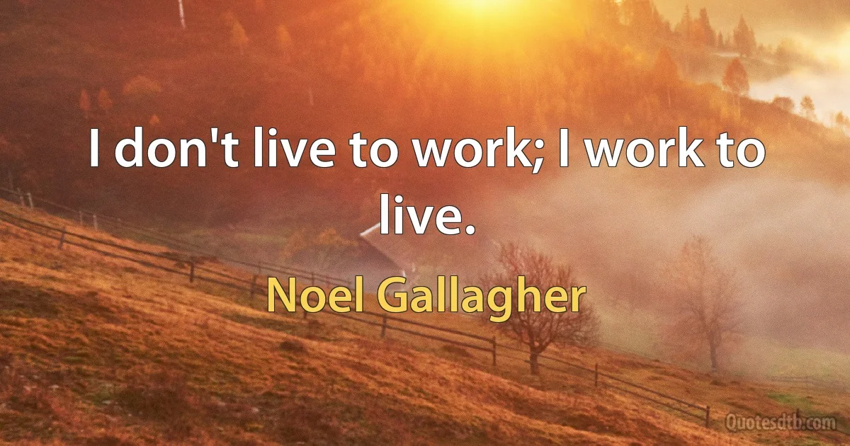 I don't live to work; I work to live. (Noel Gallagher)