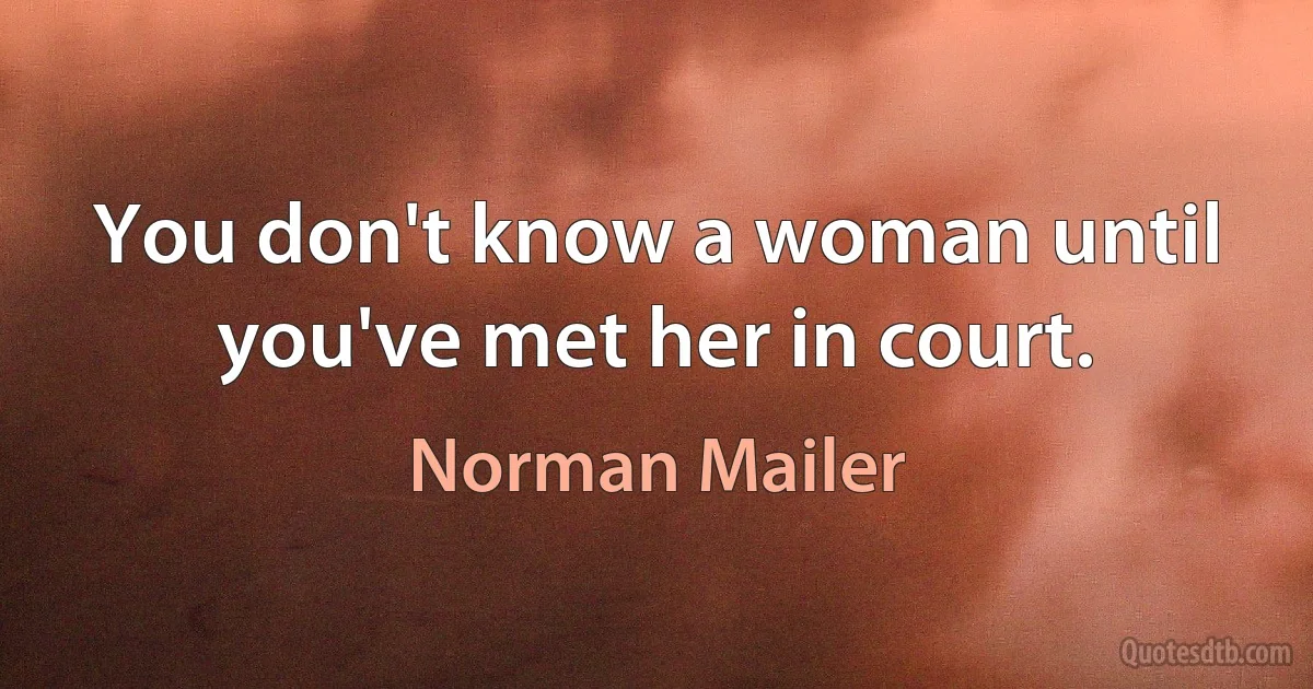 You don't know a woman until you've met her in court. (Norman Mailer)