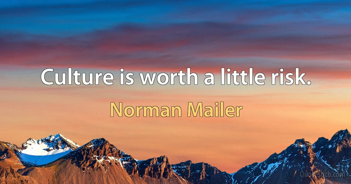 Culture is worth a little risk. (Norman Mailer)