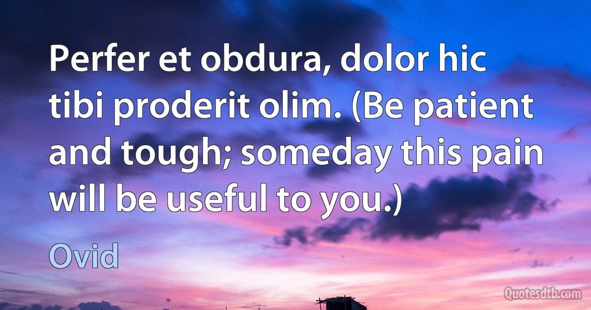 Perfer et obdura, dolor hic tibi proderit olim. (Be patient and tough; someday this pain will be useful to you.) (Ovid)