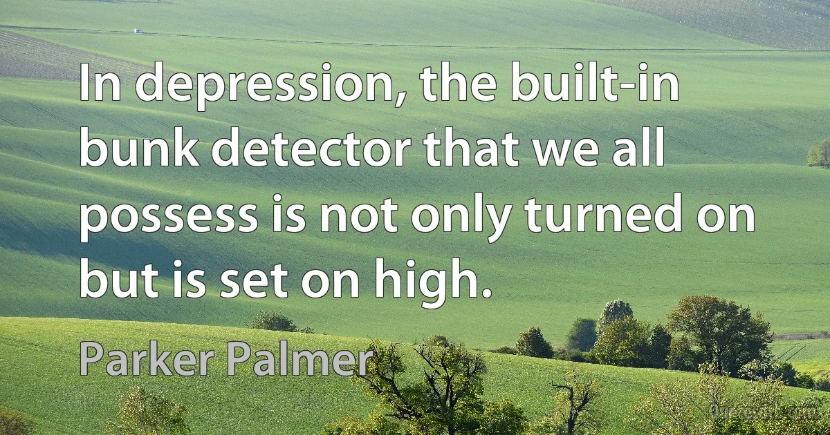 In depression, the built-in bunk detector that we all possess is not only turned on but is set on high. (Parker Palmer)