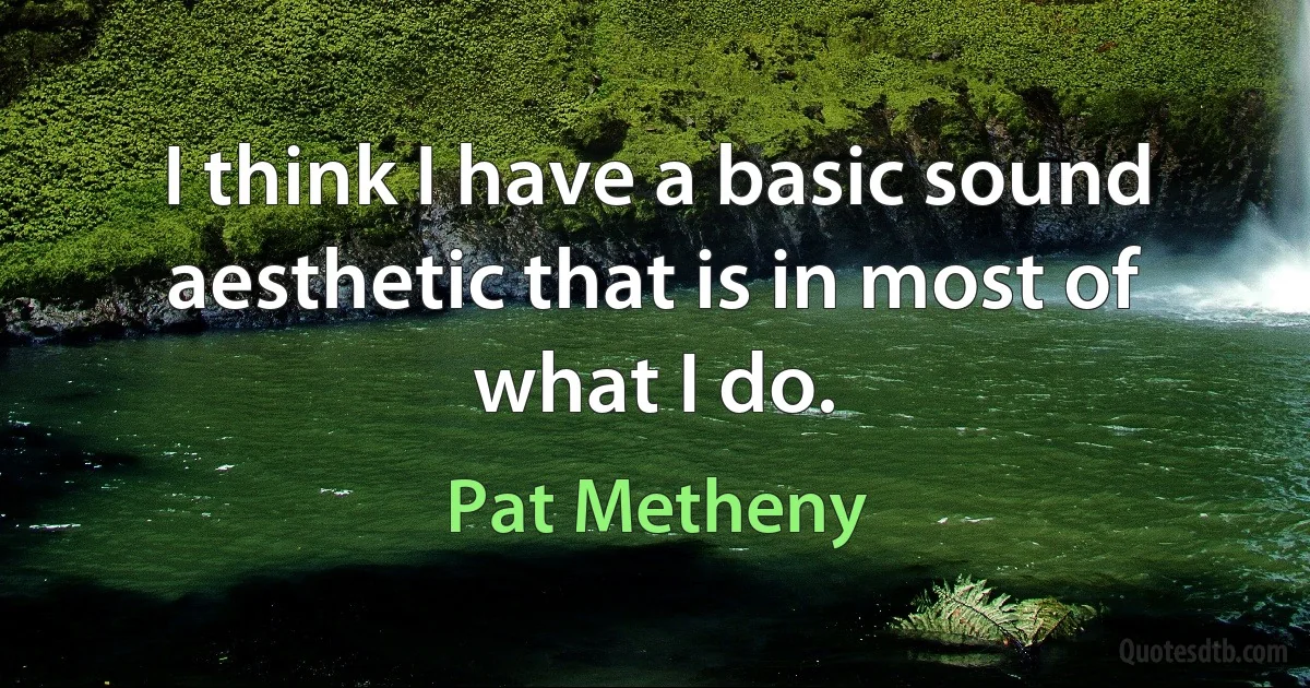 I think I have a basic sound aesthetic that is in most of what I do. (Pat Metheny)