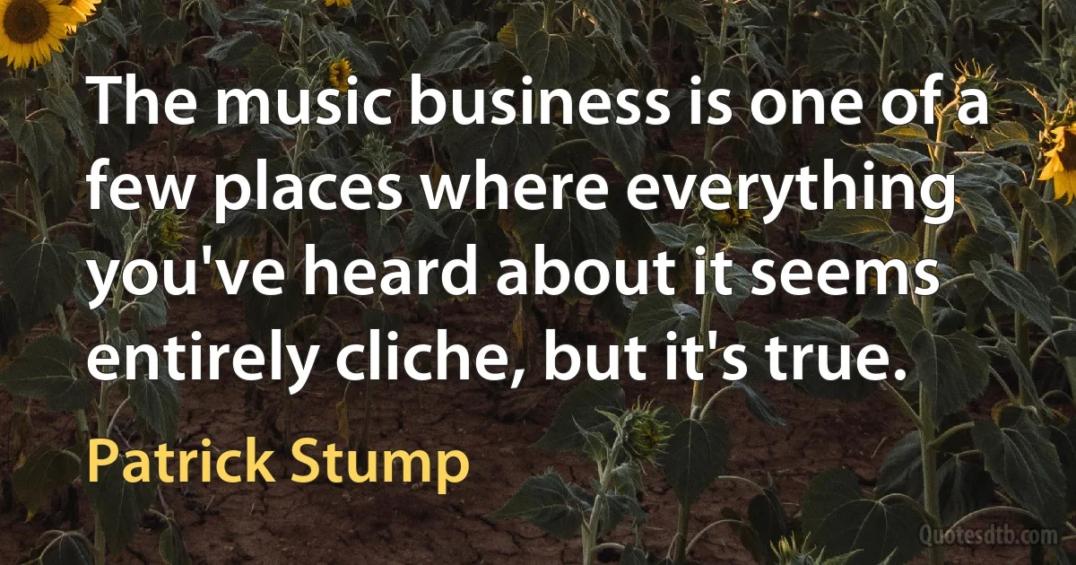 The music business is one of a few places where everything you've heard about it seems entirely cliche, but it's true. (Patrick Stump)