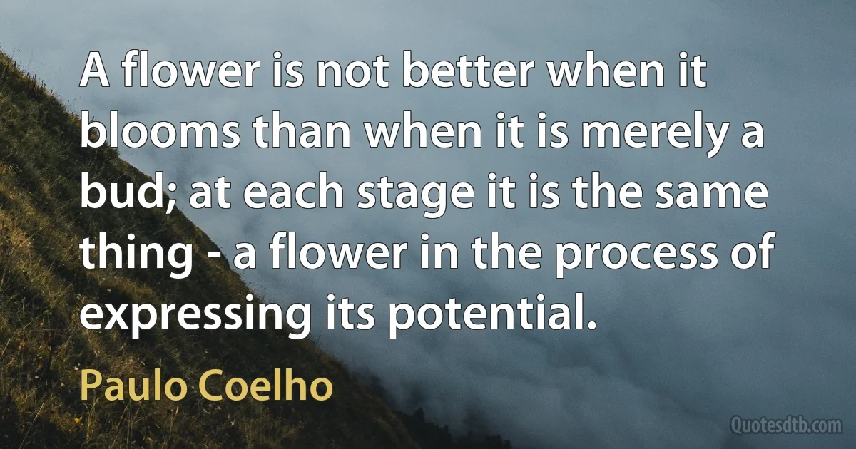 A flower is not better when it blooms than when it is merely a bud; at each stage it is the same thing - a flower in the process of expressing its potential. (Paulo Coelho)