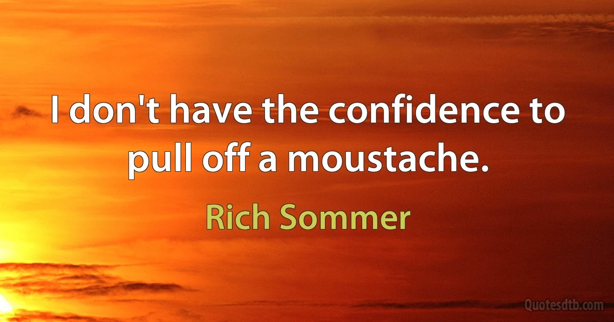 I don't have the confidence to pull off a moustache. (Rich Sommer)