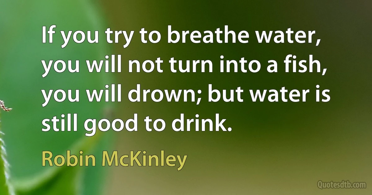 If you try to breathe water, you will not turn into a fish, you will drown; but water is still good to drink. (Robin McKinley)