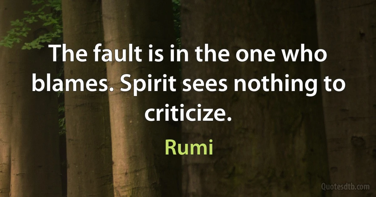 The fault is in the one who blames. Spirit sees nothing to criticize. (Rumi)