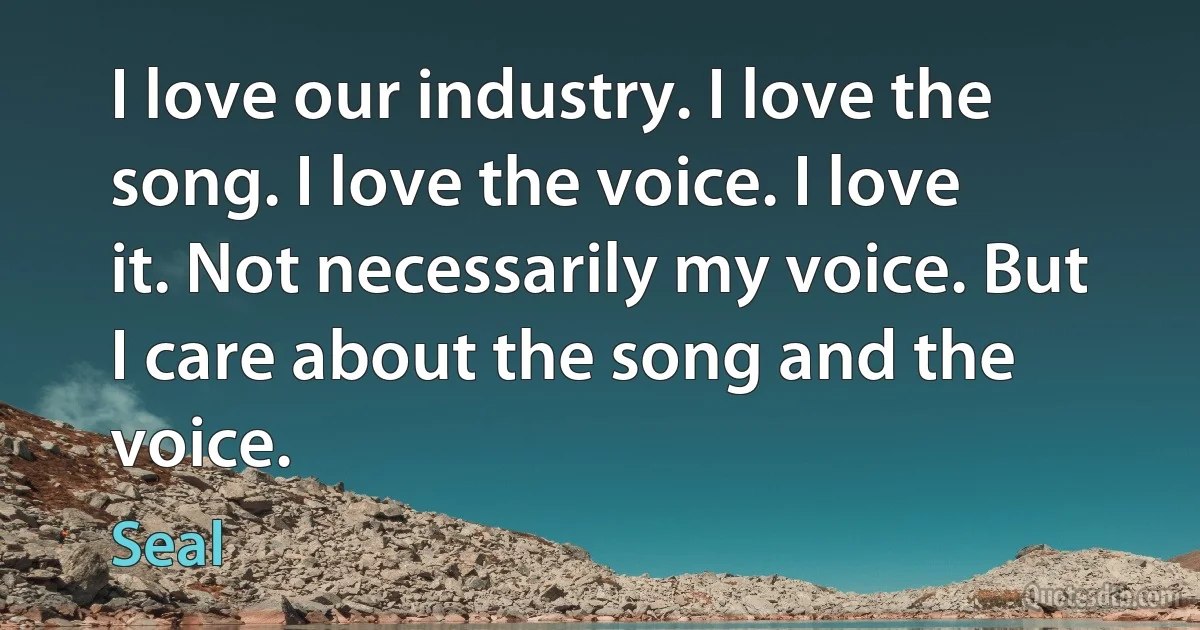 I love our industry. I love the song. I love the voice. I love it. Not necessarily my voice. But I care about the song and the voice. (Seal)