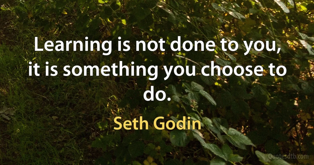 Learning is not done to you, it is something you choose to do. (Seth Godin)