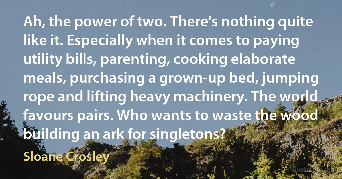 Ah, the power of two. There's nothing quite like it. Especially when it comes to paying utility bills, parenting, cooking elaborate meals, purchasing a grown-up bed, jumping rope and lifting heavy machinery. The world favours pairs. Who wants to waste the wood building an ark for singletons? (Sloane Crosley)