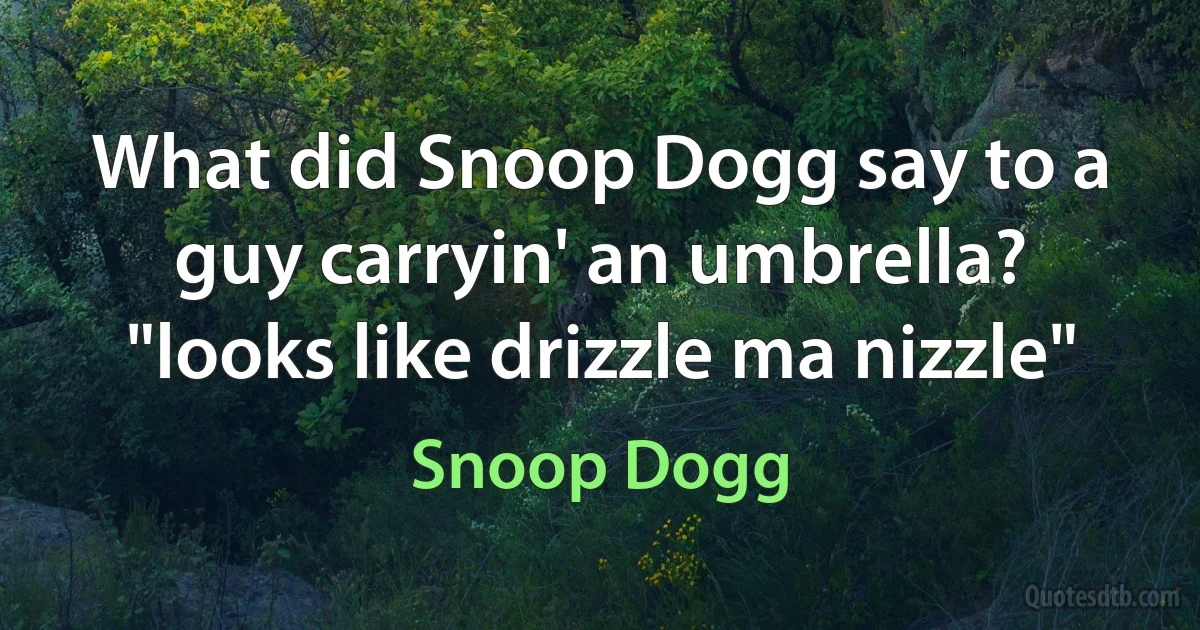 What did Snoop Dogg say to a guy carryin' an umbrella?
"looks like drizzle ma nizzle" (Snoop Dogg)