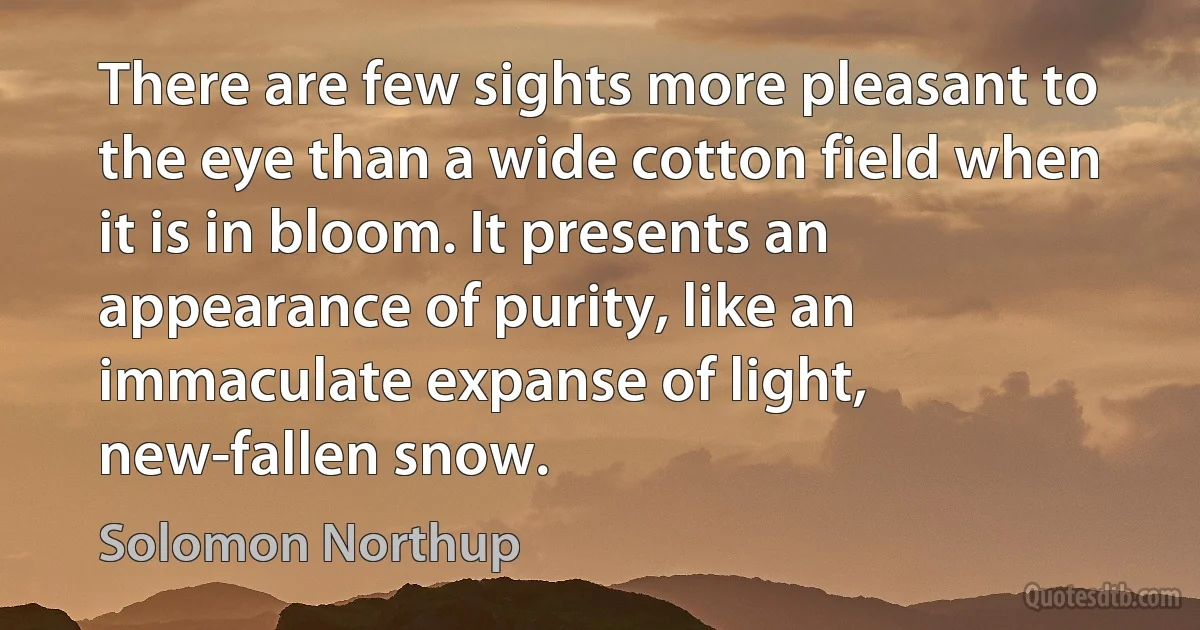 There are few sights more pleasant to the eye than a wide cotton field when it is in bloom. It presents an appearance of purity, like an immaculate expanse of light, new-fallen snow. (Solomon Northup)