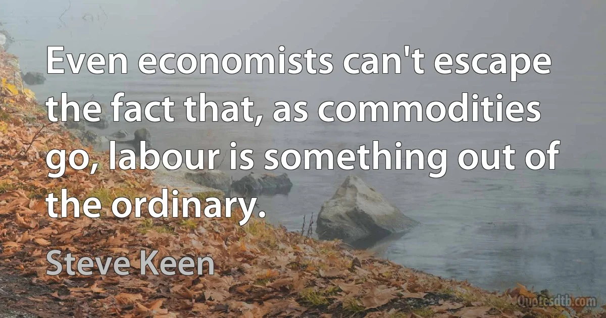 Even economists can't escape the fact that, as commodities go, labour is something out of the ordinary. (Steve Keen)