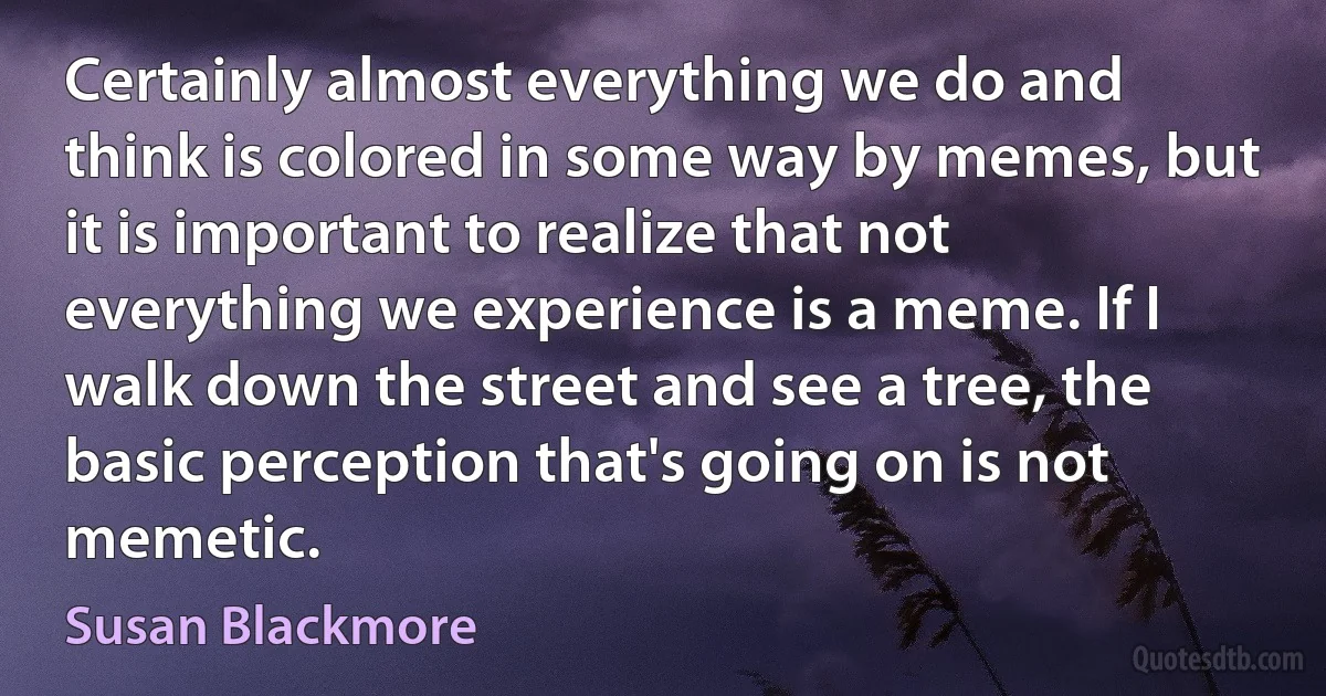 Certainly almost everything we do and think is colored in some way by memes, but it is important to realize that not everything we experience is a meme. If I walk down the street and see a tree, the basic perception that's going on is not memetic. (Susan Blackmore)