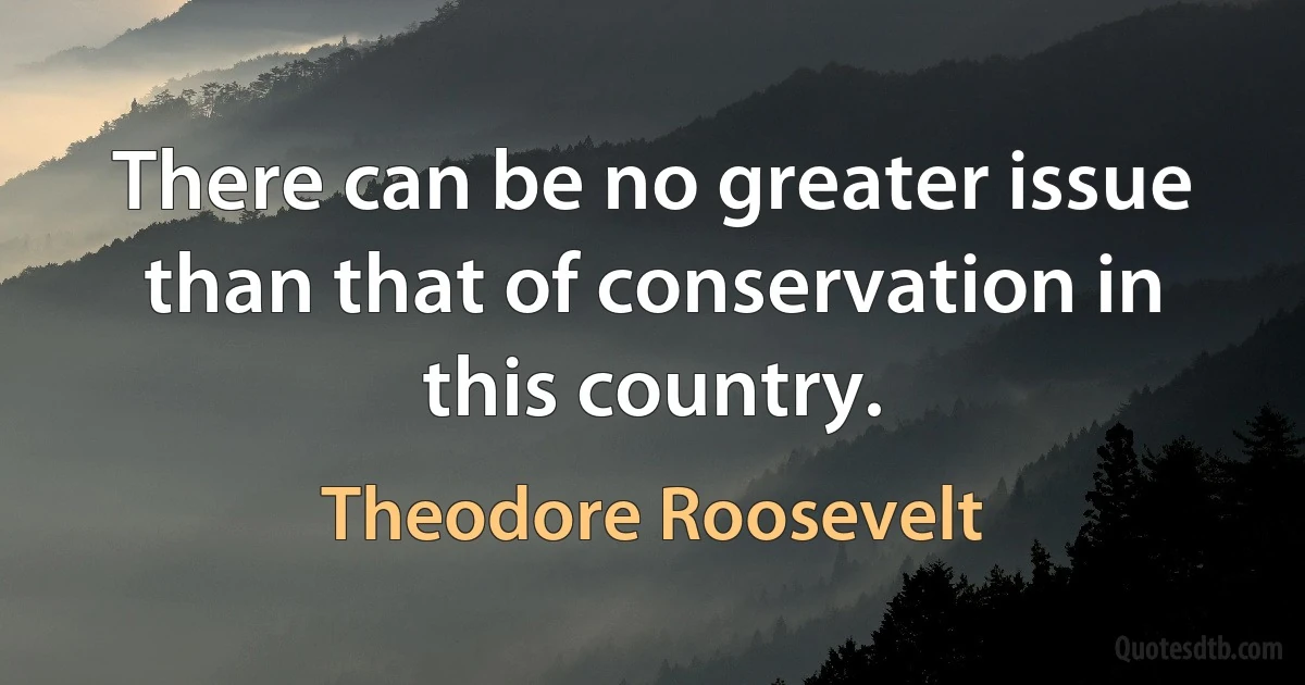 There can be no greater issue than that of conservation in this country. (Theodore Roosevelt)