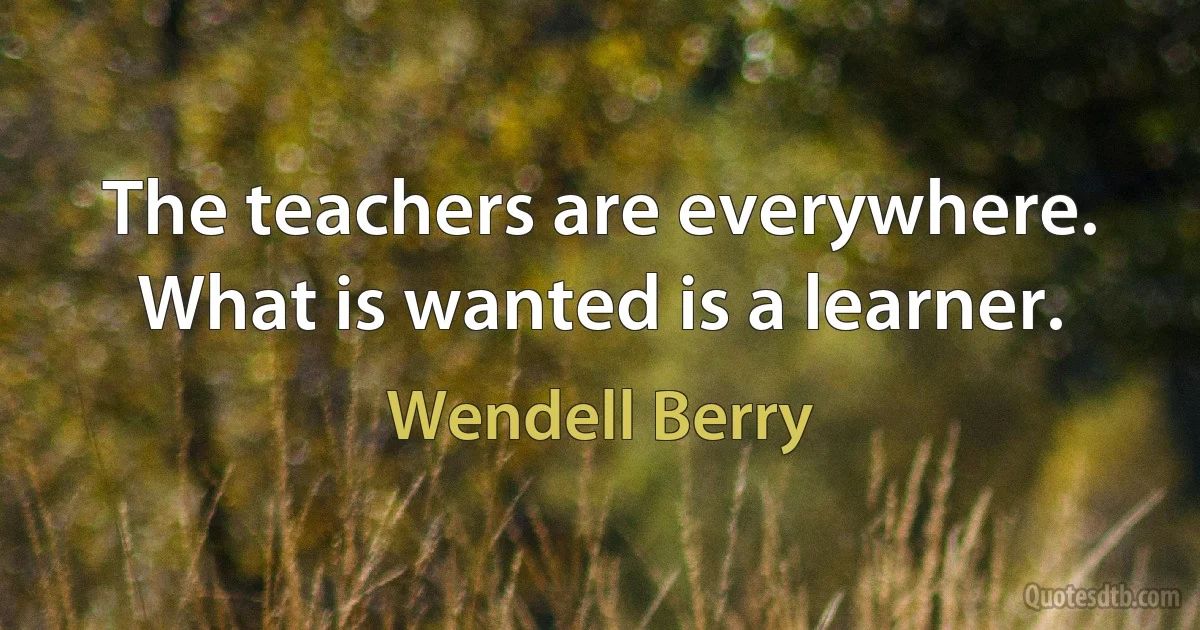 The teachers are everywhere. What is wanted is a learner. (Wendell Berry)