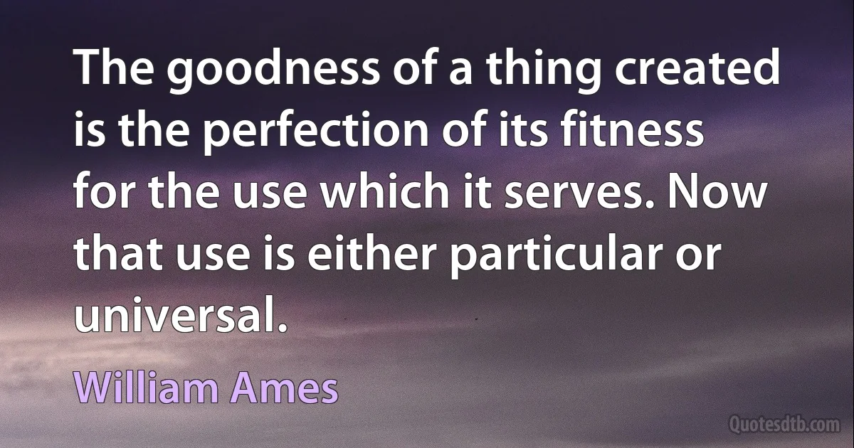 The goodness of a thing created is the perfection of its fitness for the use which it serves. Now that use is either particular or universal. (William Ames)