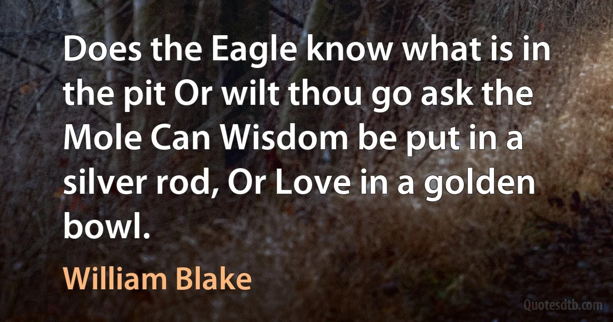 Does the Eagle know what is in the pit Or wilt thou go ask the Mole Can Wisdom be put in a silver rod, Or Love in a golden bowl. (William Blake)