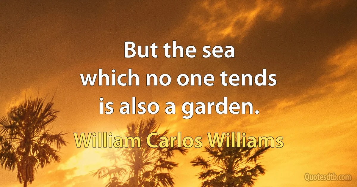 But the sea
which no one tends
is also a garden. (William Carlos Williams)