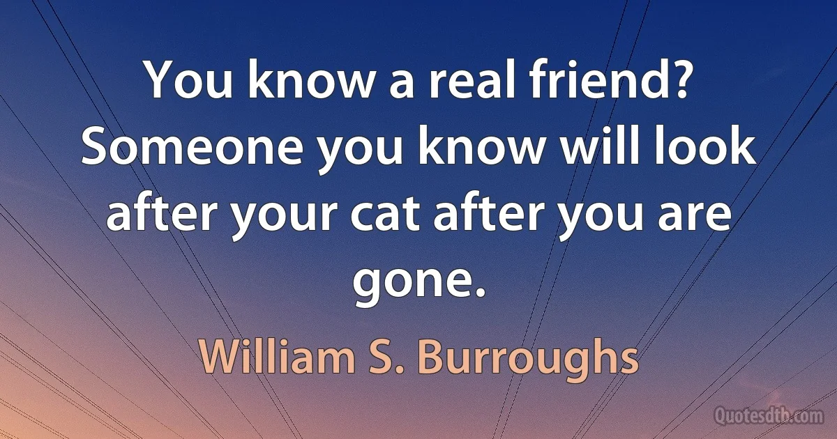 You know a real friend? Someone you know will look after your cat after you are gone. (William S. Burroughs)