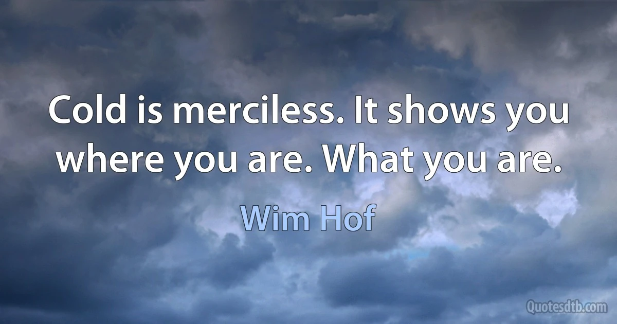 Cold is merciless. It shows you where you are. What you are. (Wim Hof)