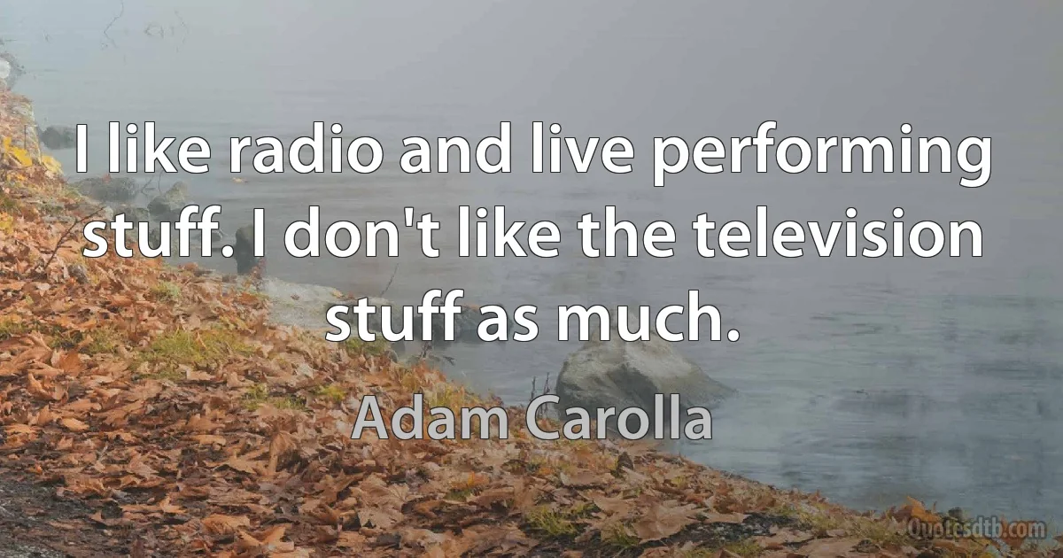 I like radio and live performing stuff. I don't like the television stuff as much. (Adam Carolla)