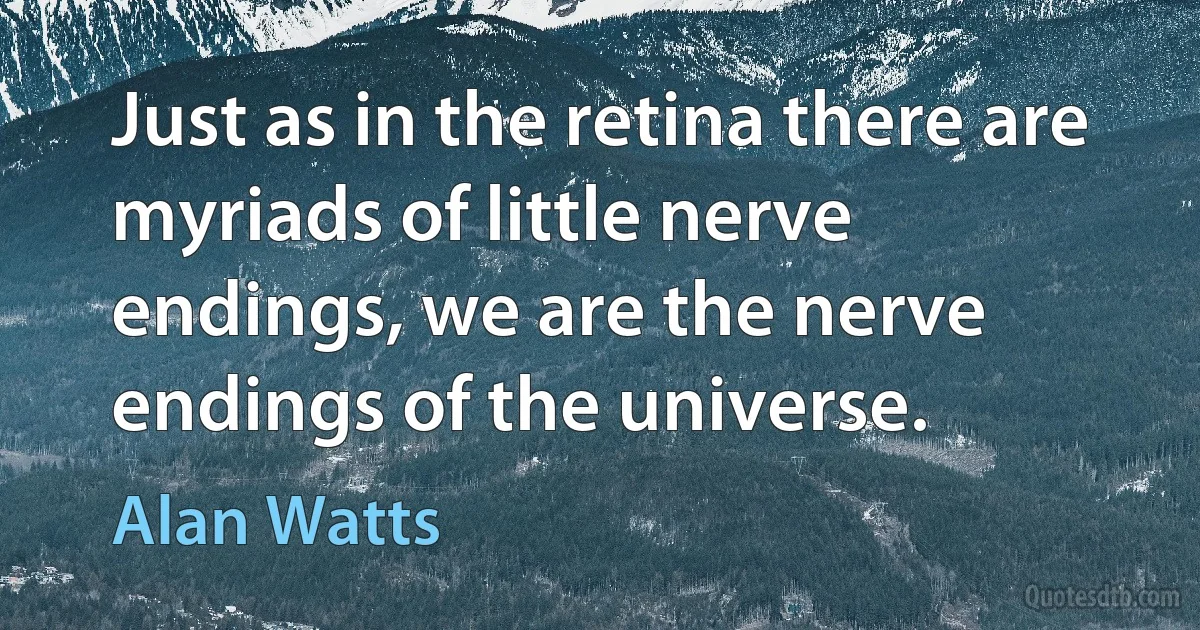 Just as in the retina there are myriads of little nerve endings, we are the nerve endings of the universe. (Alan Watts)