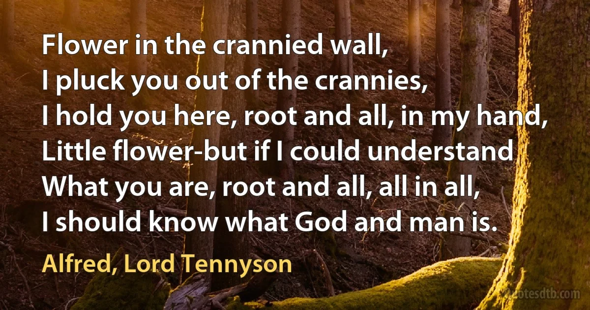 Flower in the crannied wall,
I pluck you out of the crannies,
I hold you here, root and all, in my hand,
Little flower-but if I could understand
What you are, root and all, all in all,
I should know what God and man is. (Alfred, Lord Tennyson)