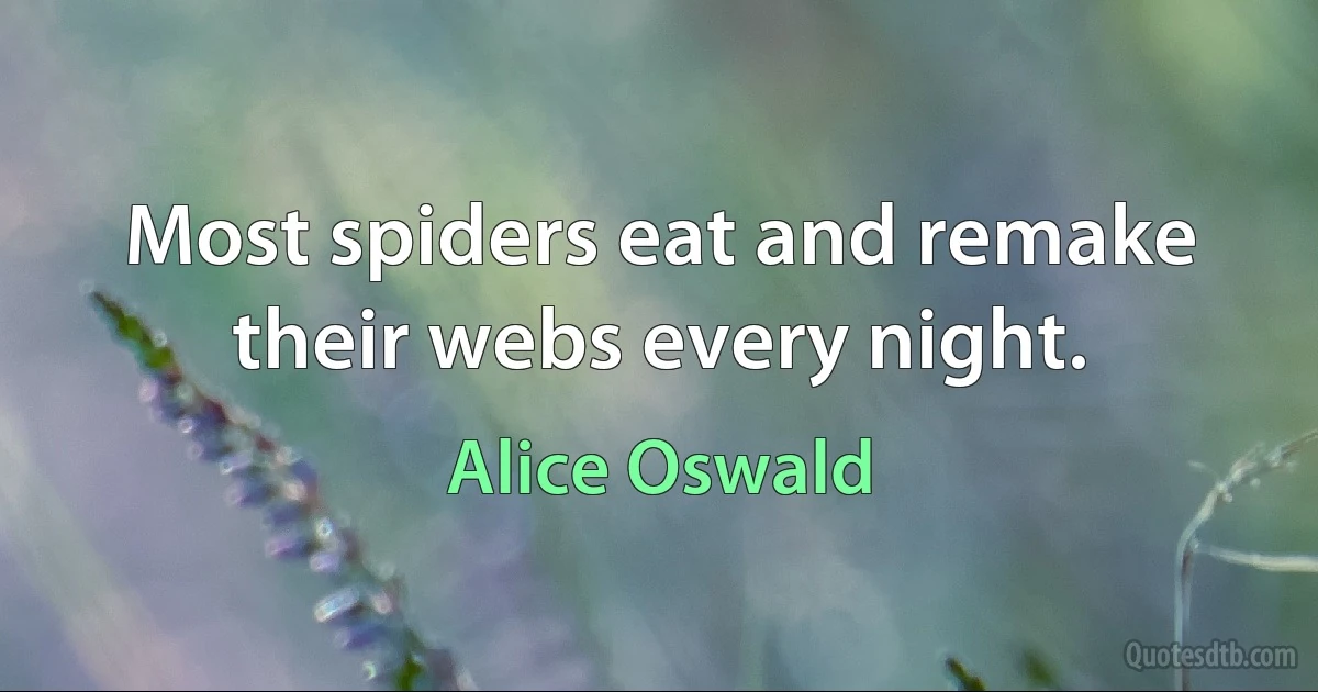 Most spiders eat and remake their webs every night. (Alice Oswald)