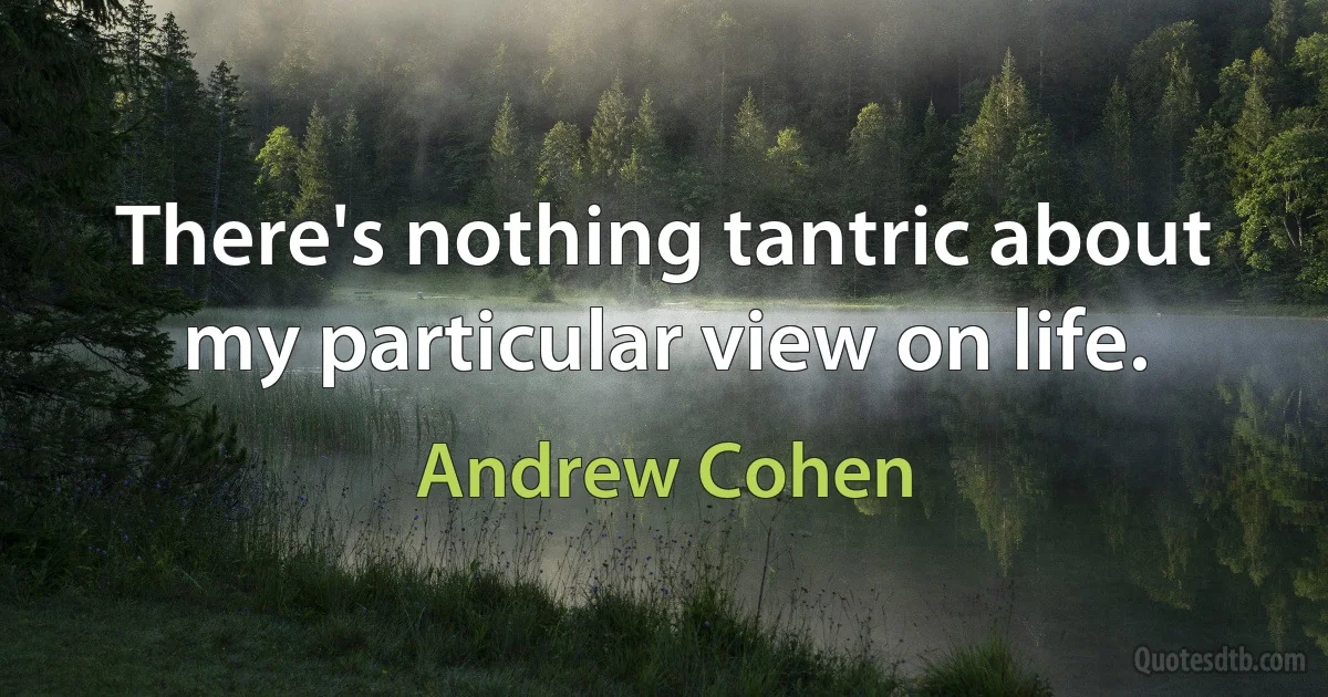 There's nothing tantric about my particular view on life. (Andrew Cohen)