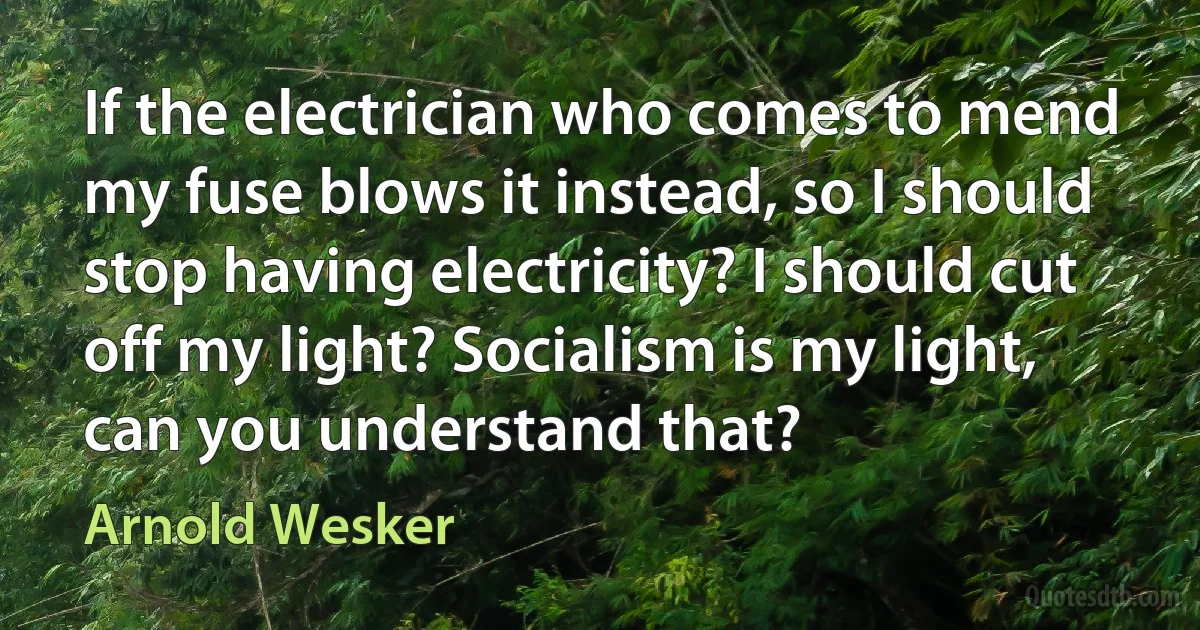 If the electrician who comes to mend my fuse blows it instead, so I should stop having electricity? I should cut off my light? Socialism is my light, can you understand that? (Arnold Wesker)