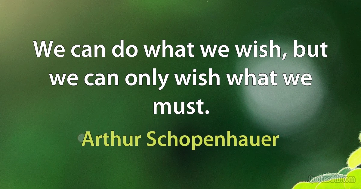 We can do what we wish, but we can only wish what we must. (Arthur Schopenhauer)