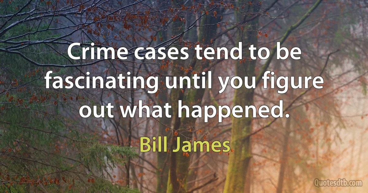 Crime cases tend to be fascinating until you figure out what happened. (Bill James)