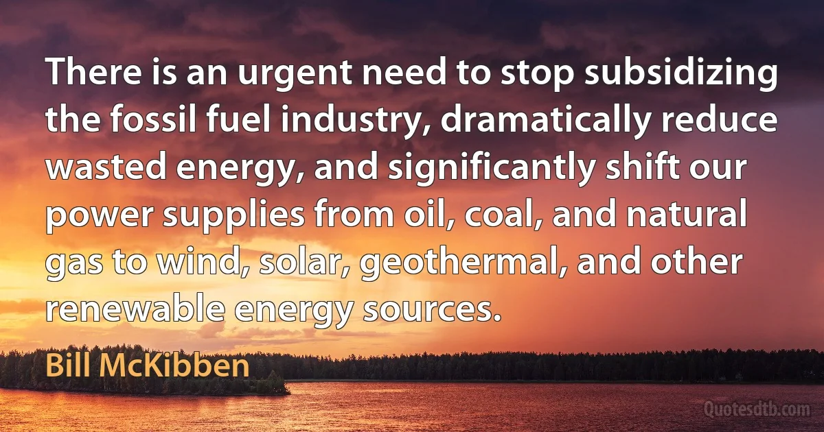 There is an urgent need to stop subsidizing the fossil fuel industry, dramatically reduce wasted energy, and significantly shift our power supplies from oil, coal, and natural gas to wind, solar, geothermal, and other renewable energy sources. (Bill McKibben)