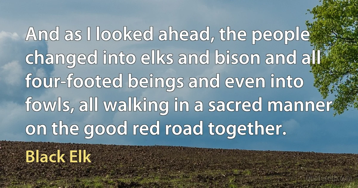 And as I looked ahead, the people changed into elks and bison and all four-footed beings and even into fowls, all walking in a sacred manner on the good red road together. (Black Elk)