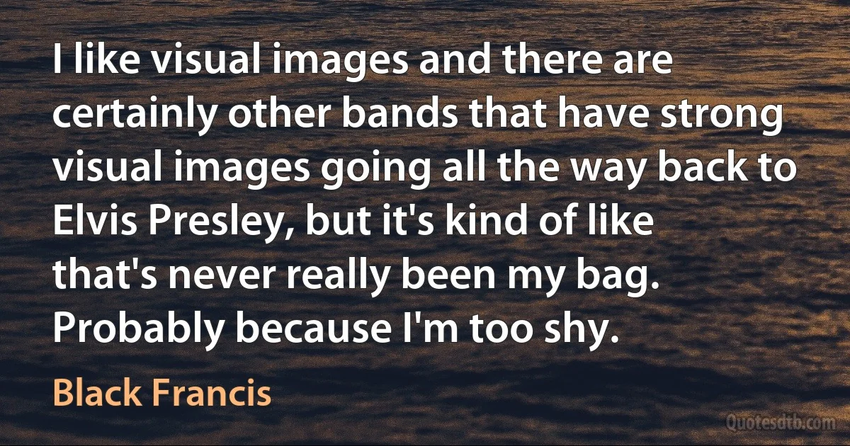 I like visual images and there are certainly other bands that have strong visual images going all the way back to Elvis Presley, but it's kind of like that's never really been my bag. Probably because I'm too shy. (Black Francis)